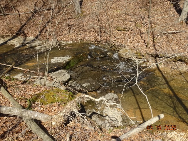 5310 Whites Creek Pike Property Photo 10