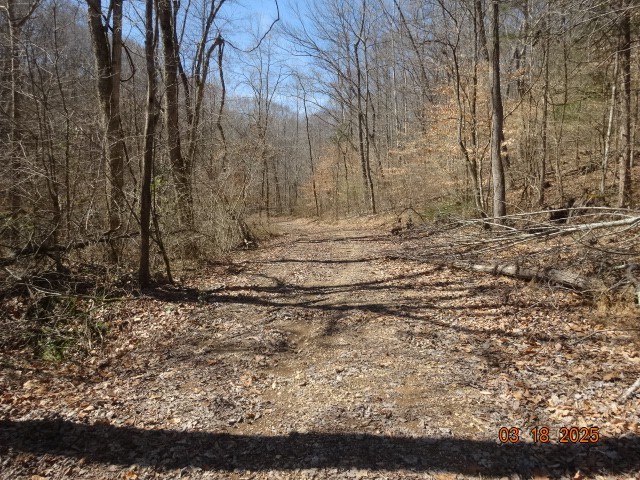 5310 Whites Creek Pike Property Photo 11
