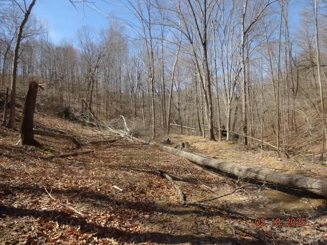 5310 Whites Creek Pike Property Photo 12