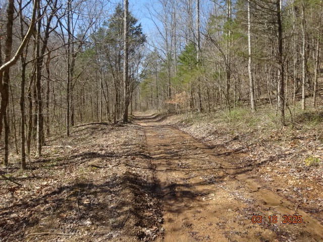 5310 Whites Creek Pike Property Photo 13