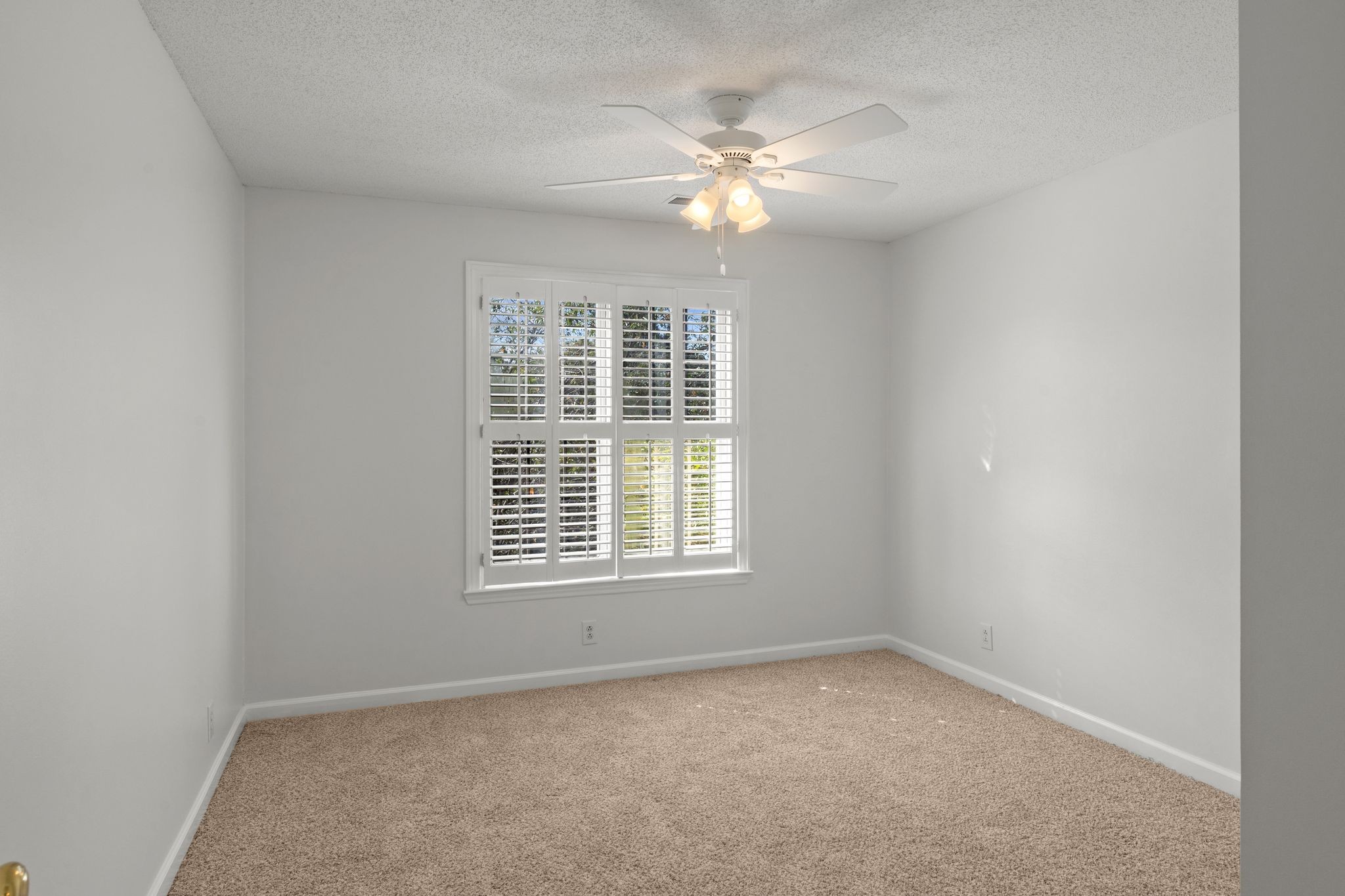 227 White Cloud Trl Property Photo 21