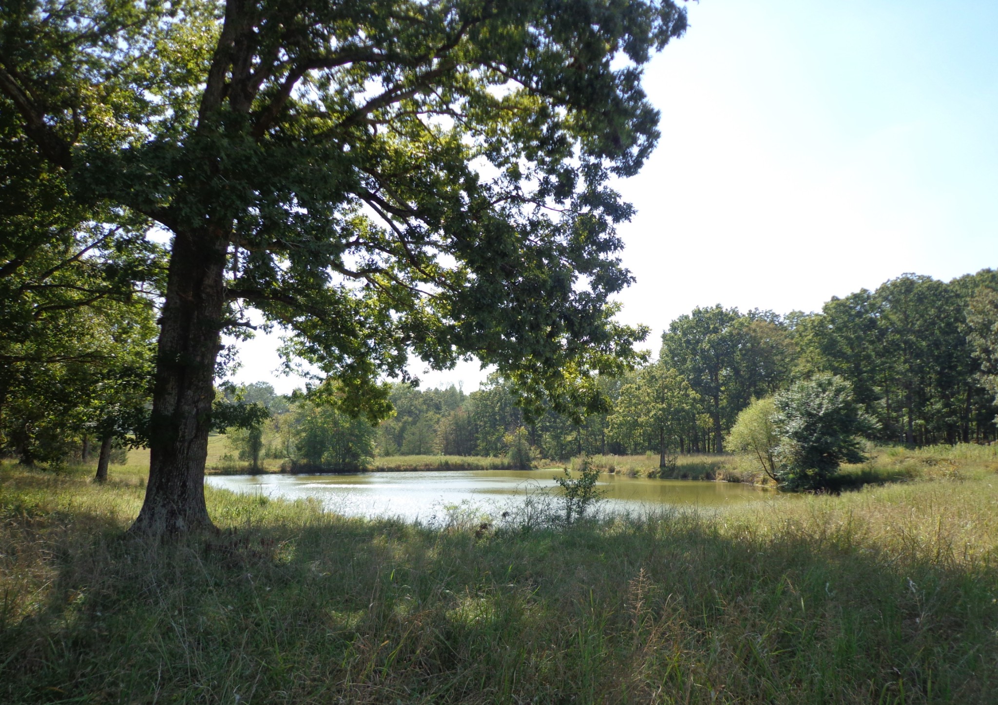 1551 Tennessee Ridge Road Property Photo 1