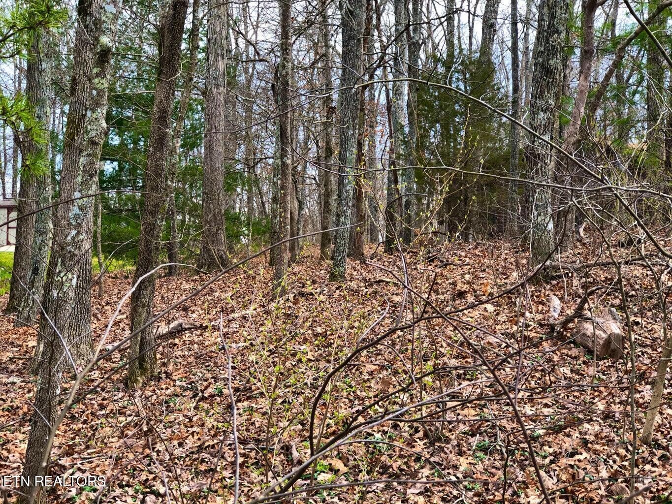 11 Oxford Circle Property Photo 1