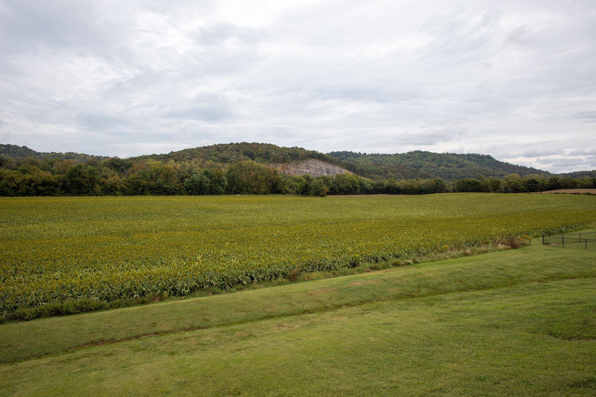 140 Rivercrest Cir Property Photo 22