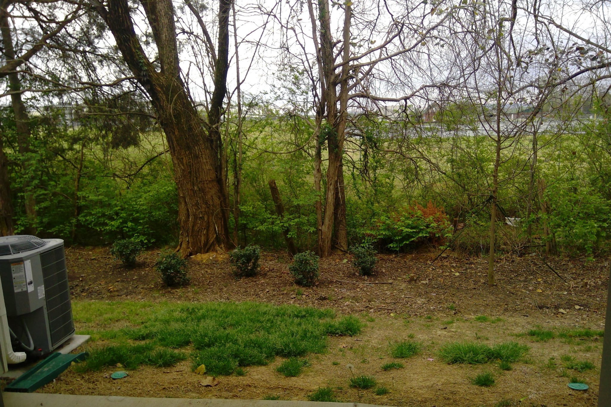 114 Cecil Rd Property Photo 11