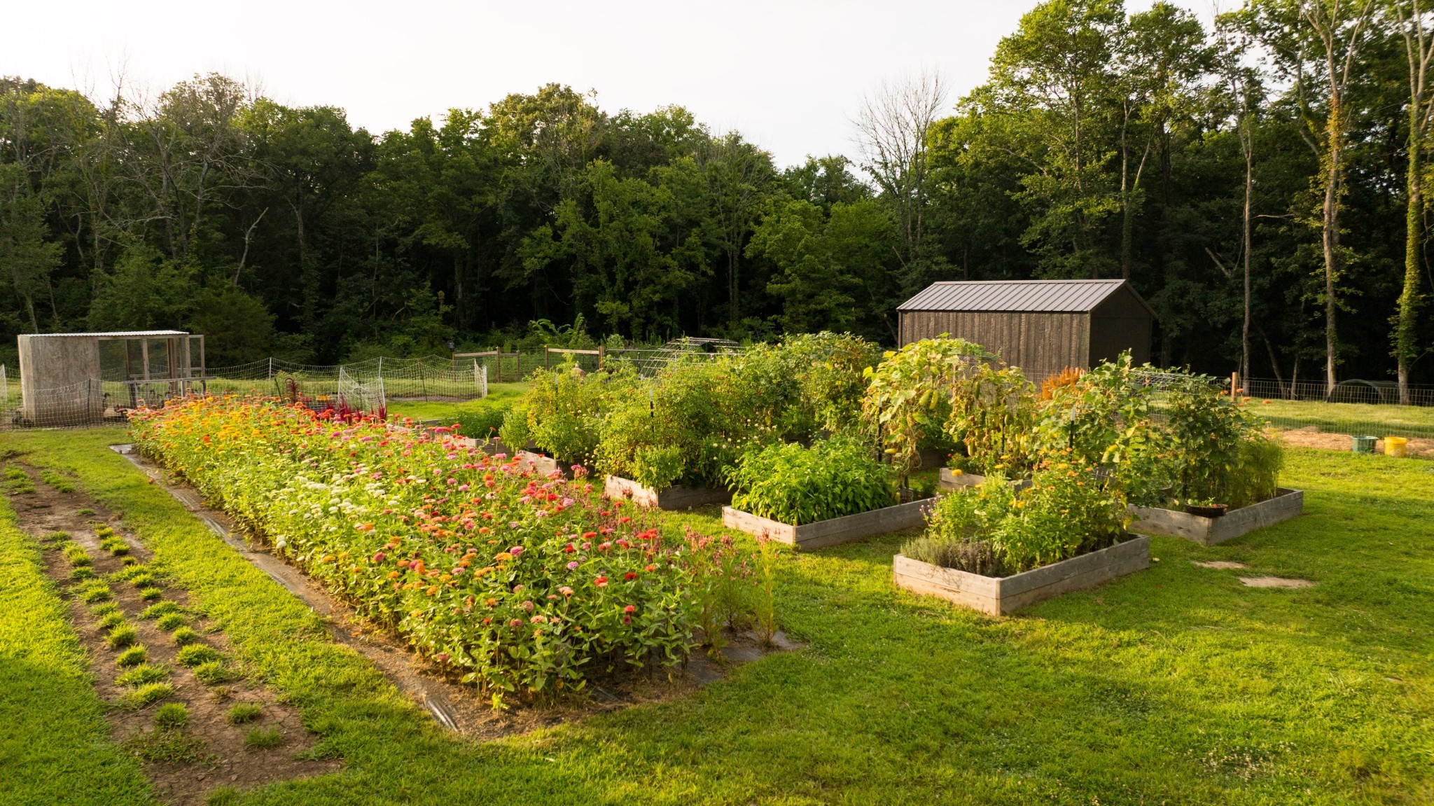 1489 Old Tva Rd Property Photo 3