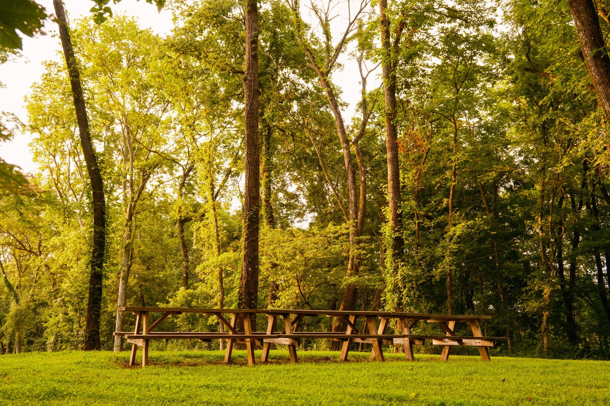 1489 Old Tva Rd Property Photo 5