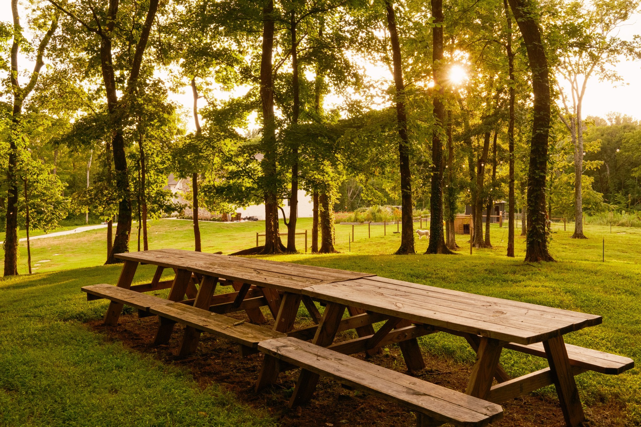 1489 Old Tva Rd Property Photo 45