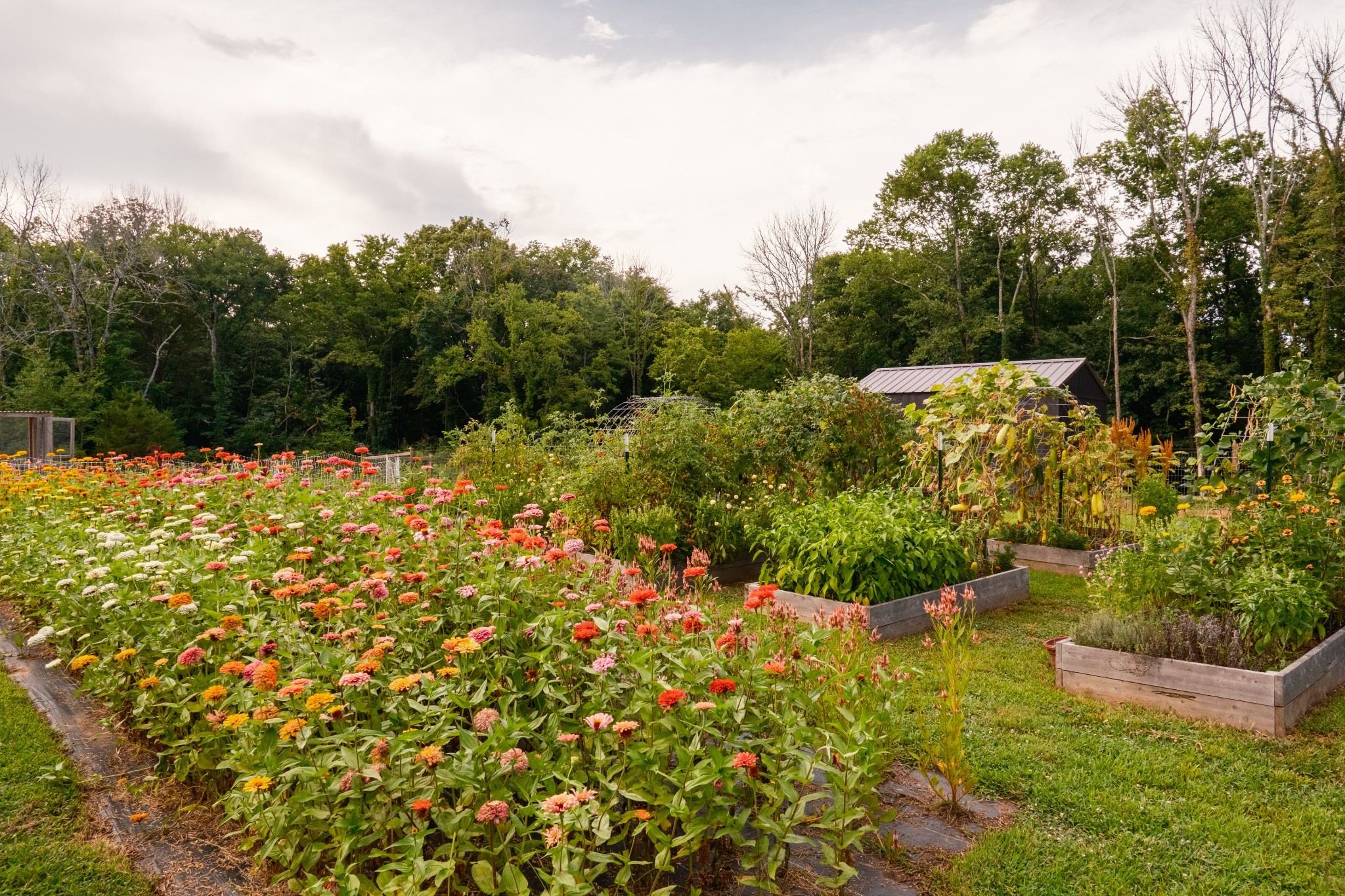 1489 Old Tva Rd Property Photo 46