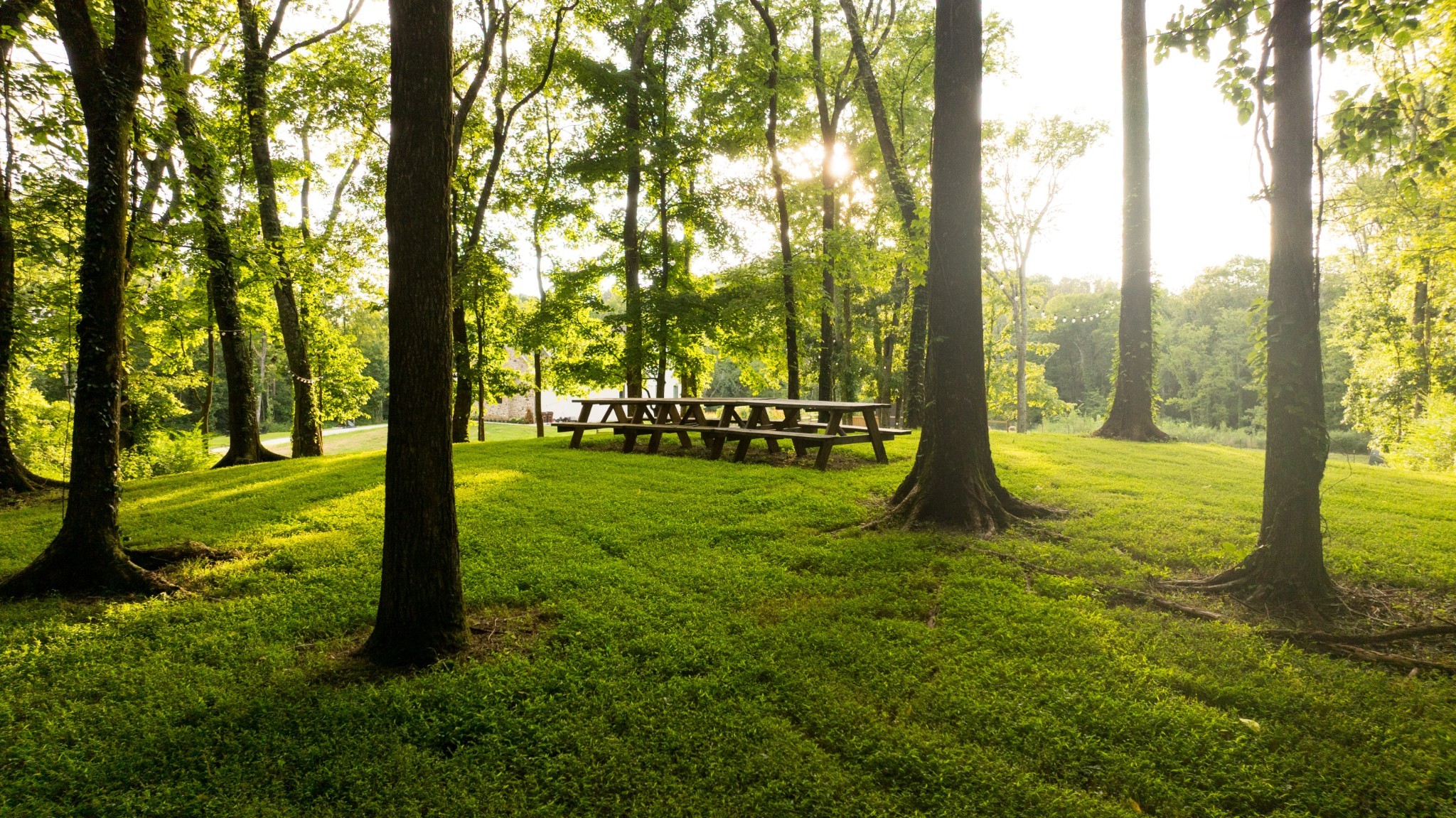 1489 Old Tva Rd Property Photo 47