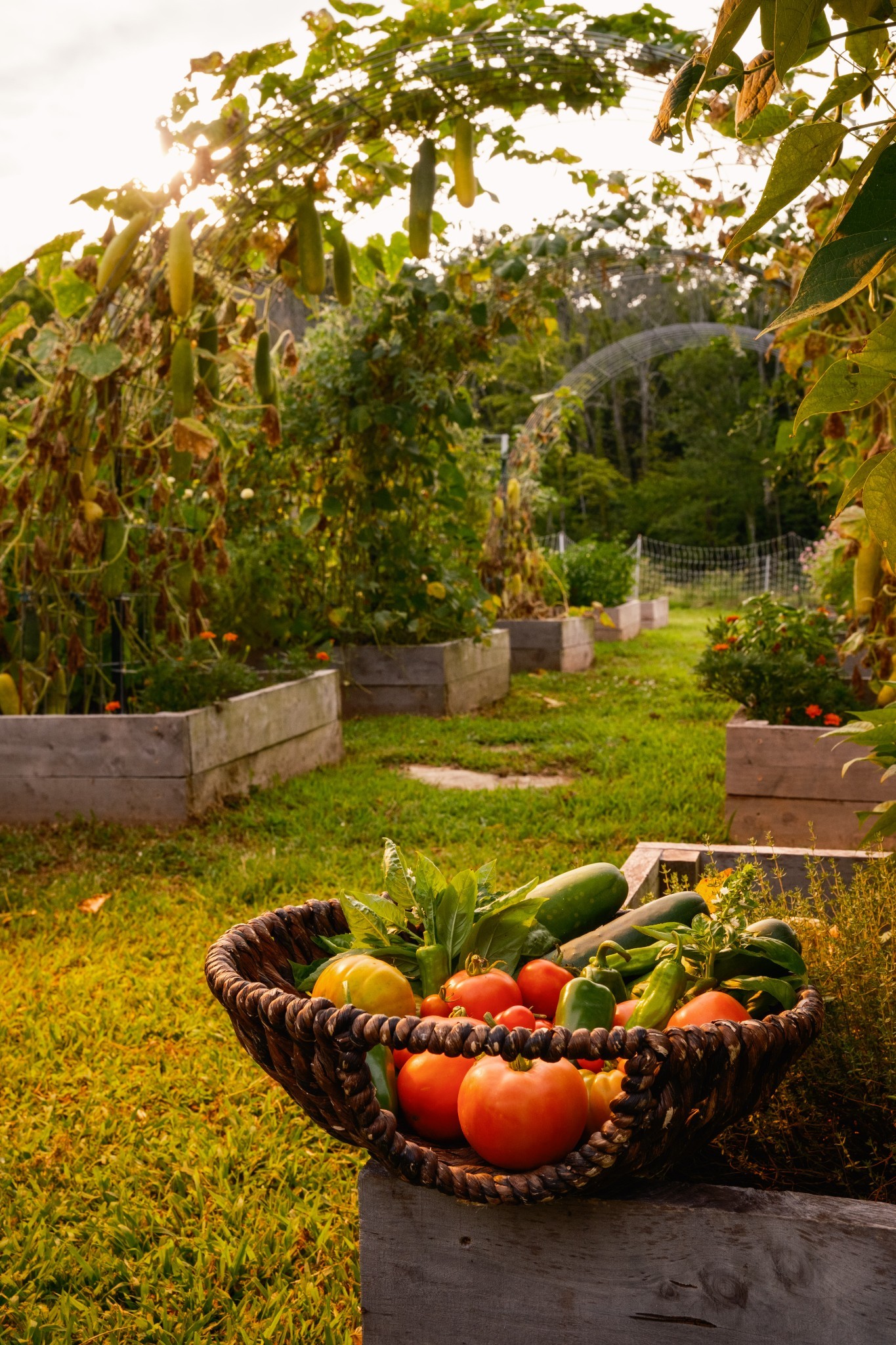 1489 Old Tva Rd Property Photo 48