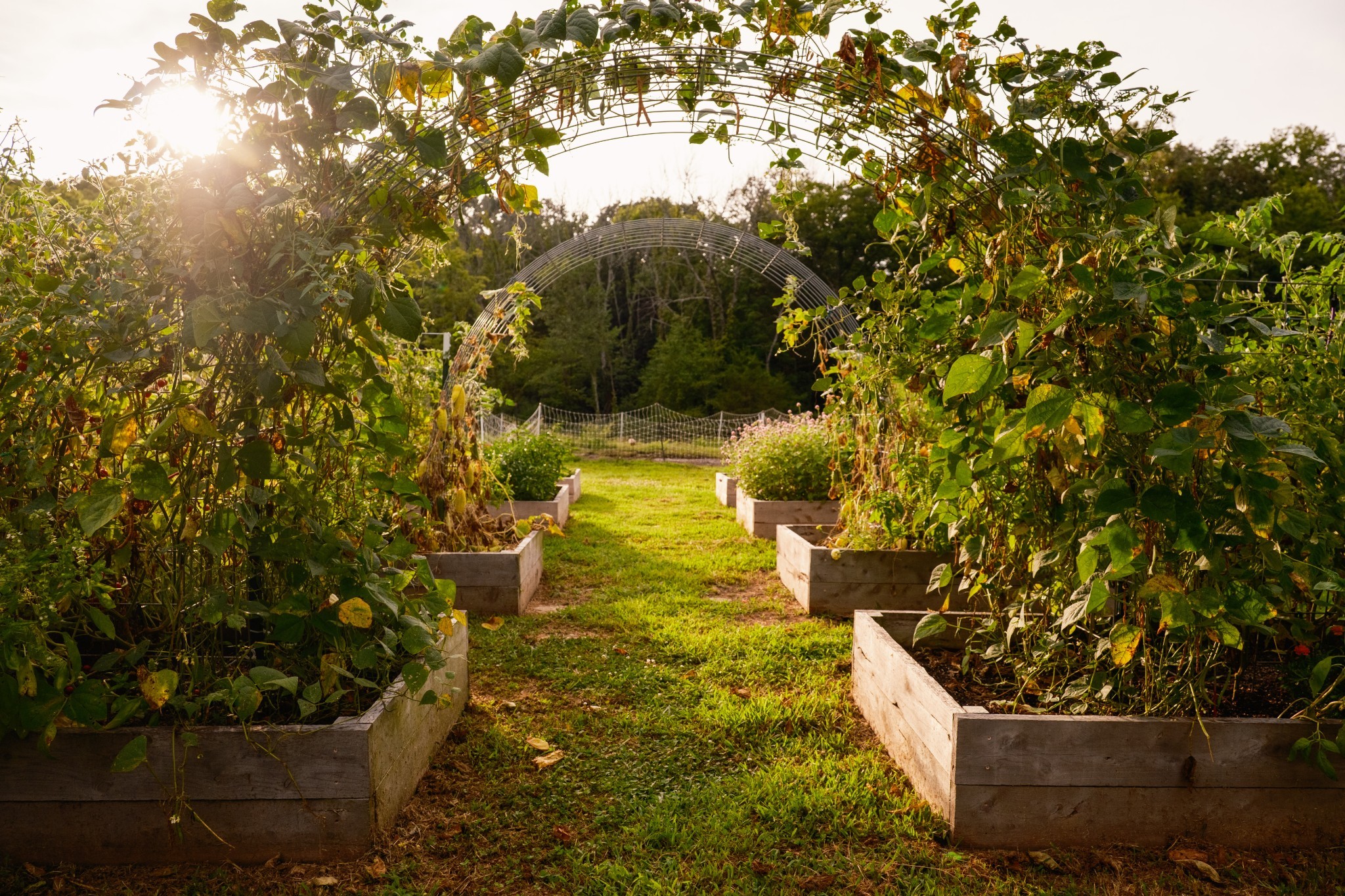 1489 Old Tva Rd Property Photo 49