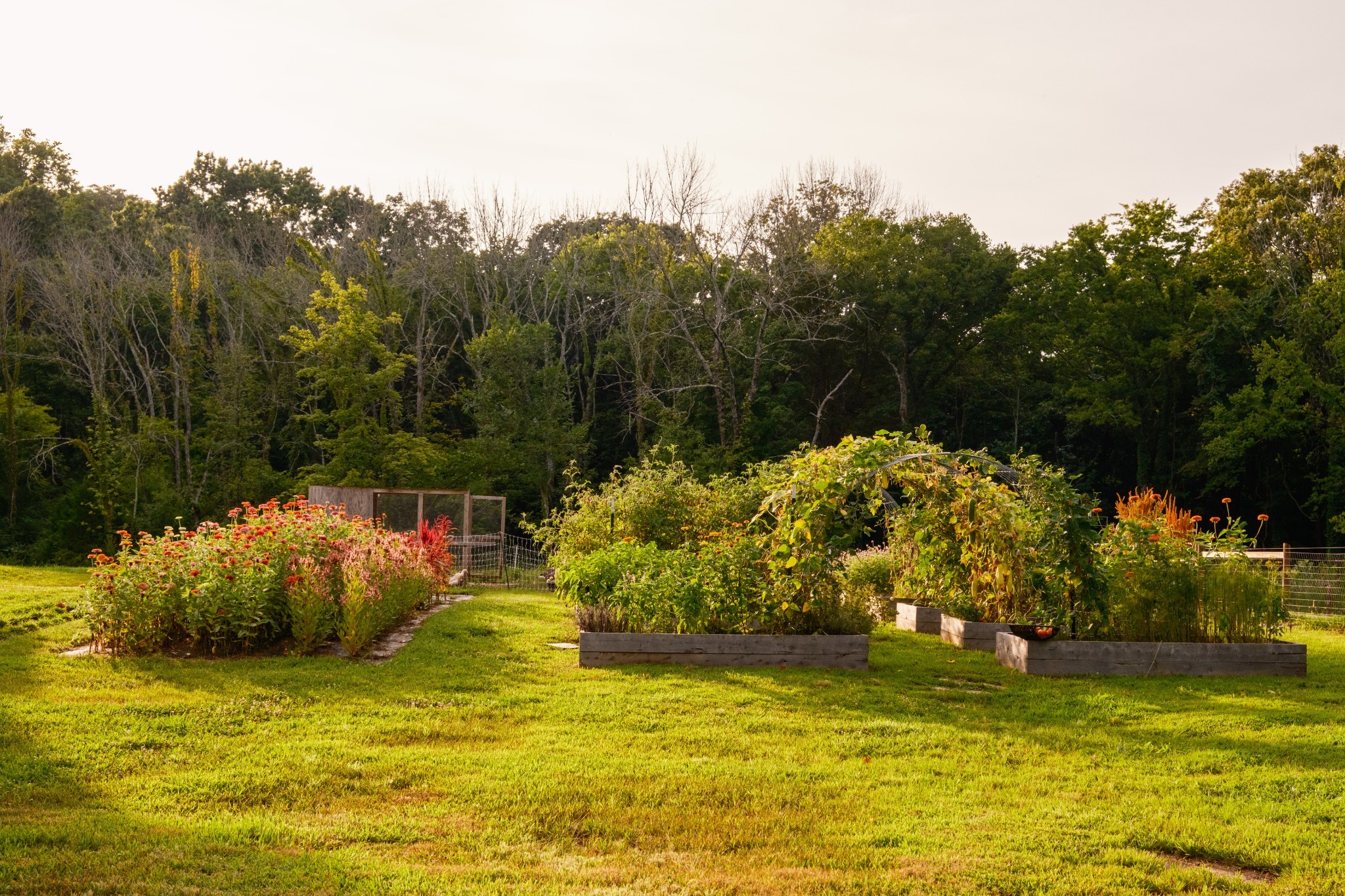 1489 Old Tva Rd Property Photo 50