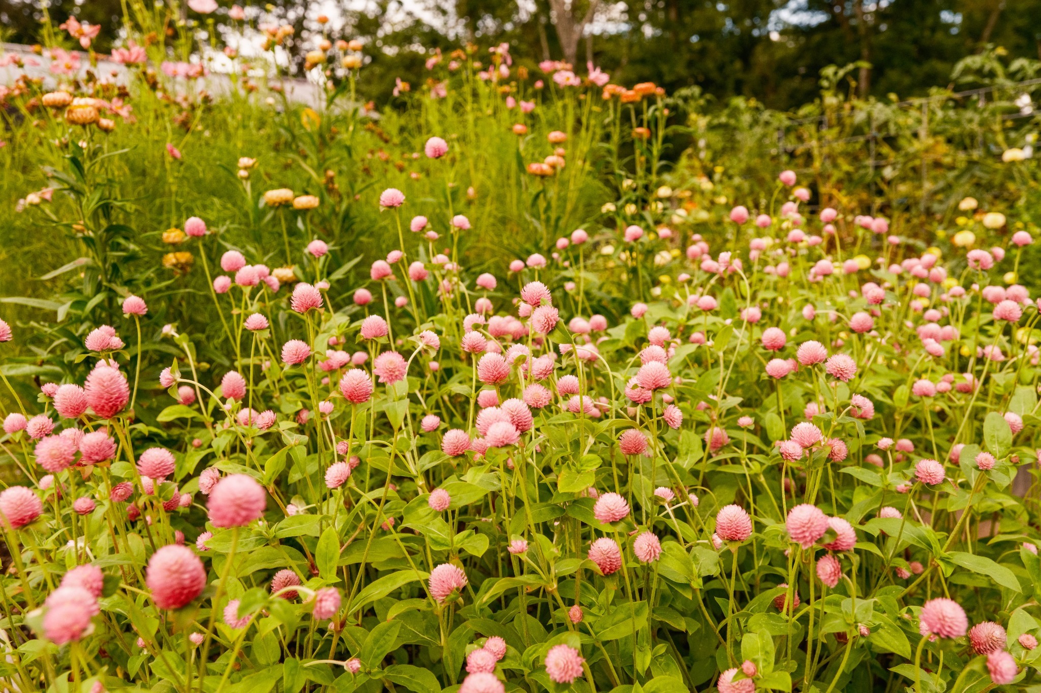 1489 Old Tva Rd Property Photo 51