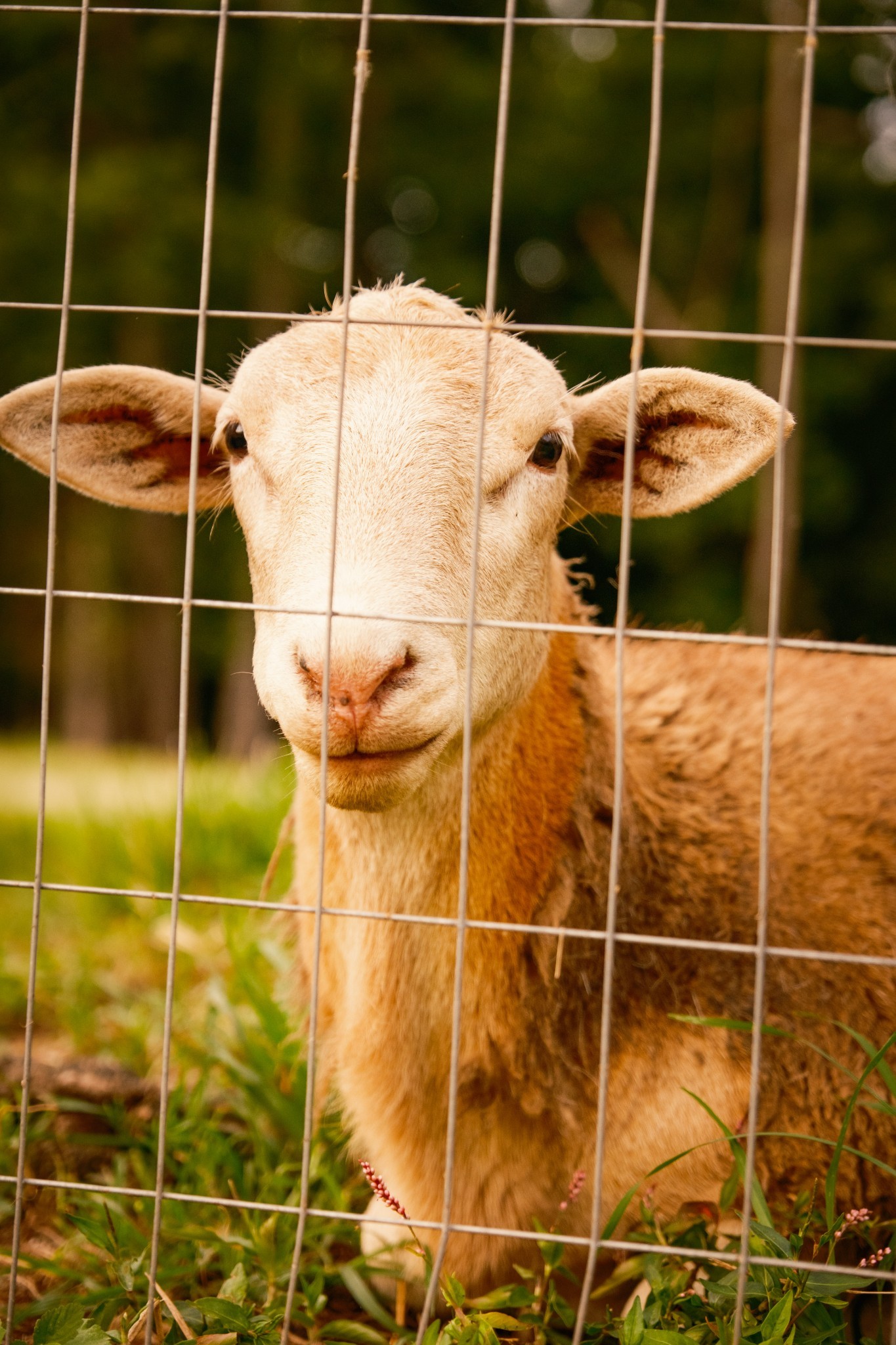 1489 Old Tva Rd Property Photo 54