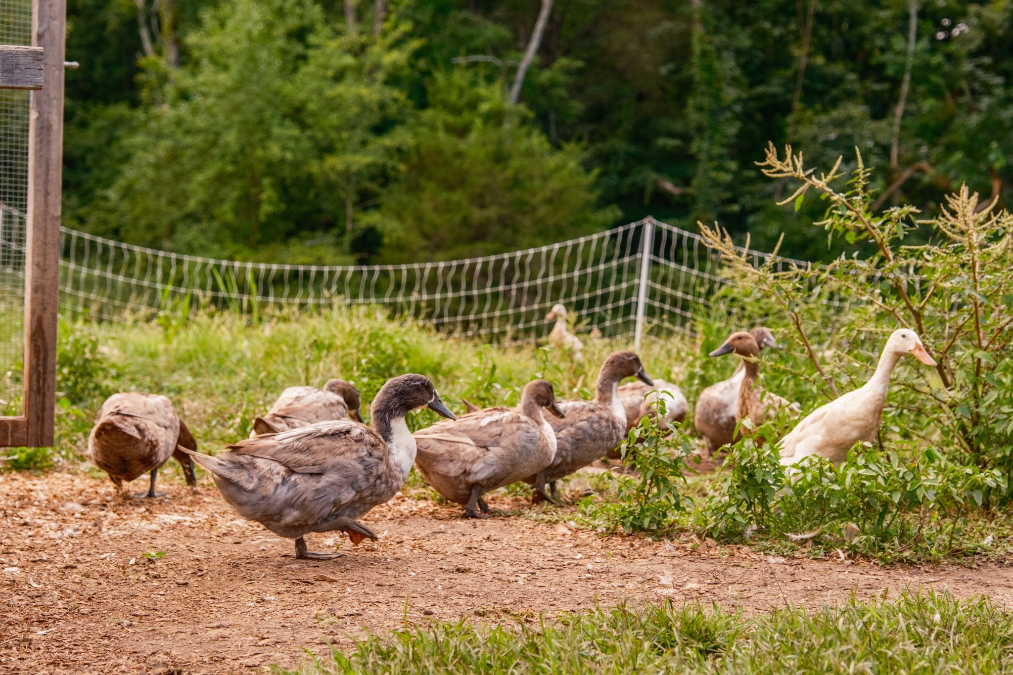 1489 Old Tva Rd Property Photo 55