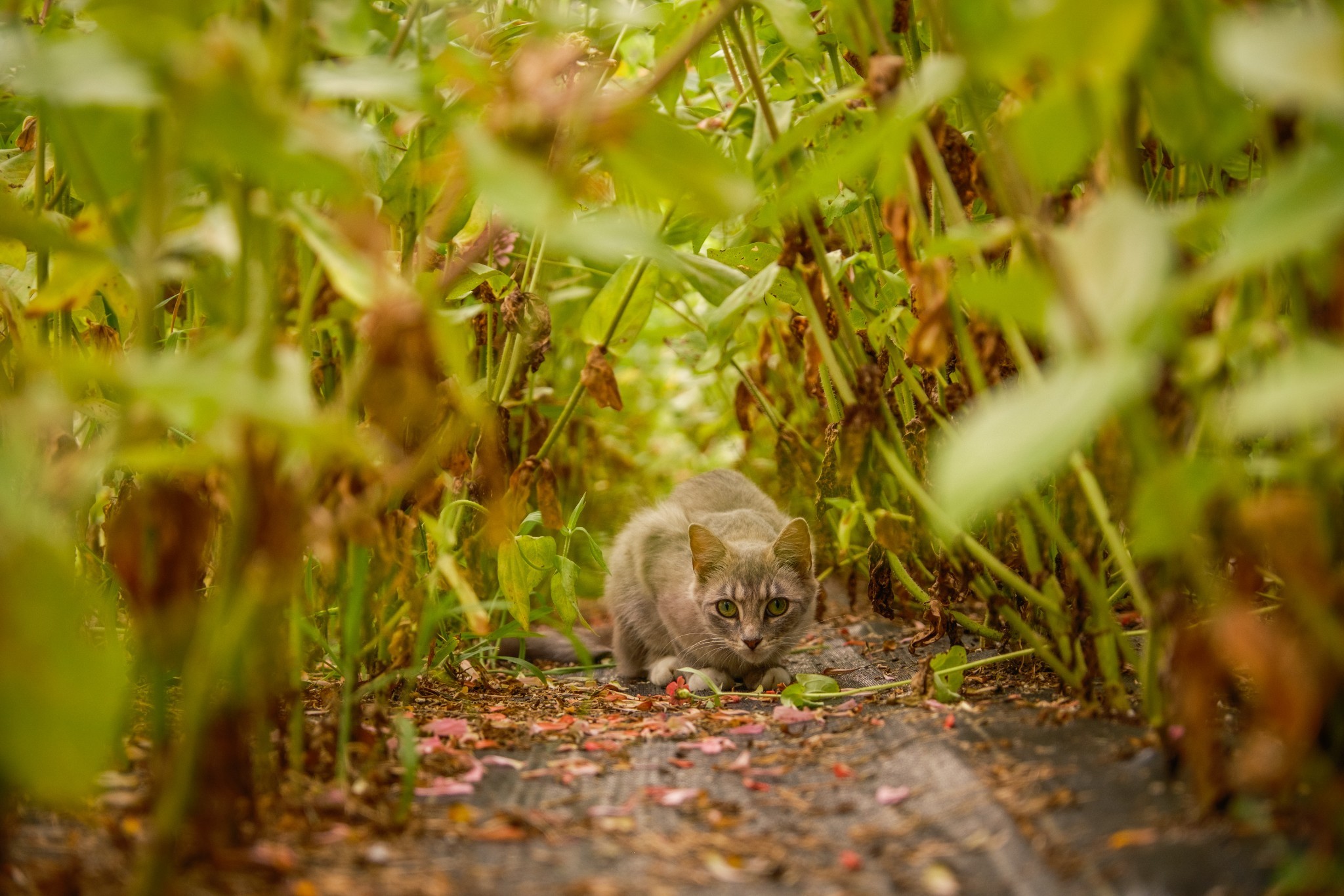 1489 Old Tva Rd Property Photo 57
