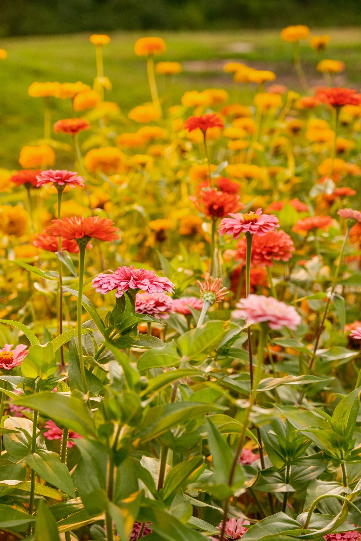 1489 Old Tva Rd Property Photo 58