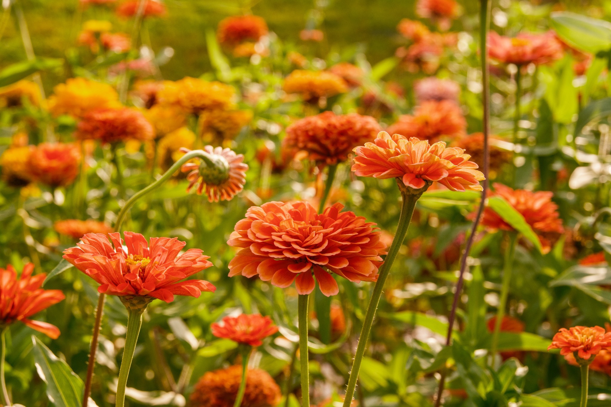 1489 Old Tva Rd Property Photo 59