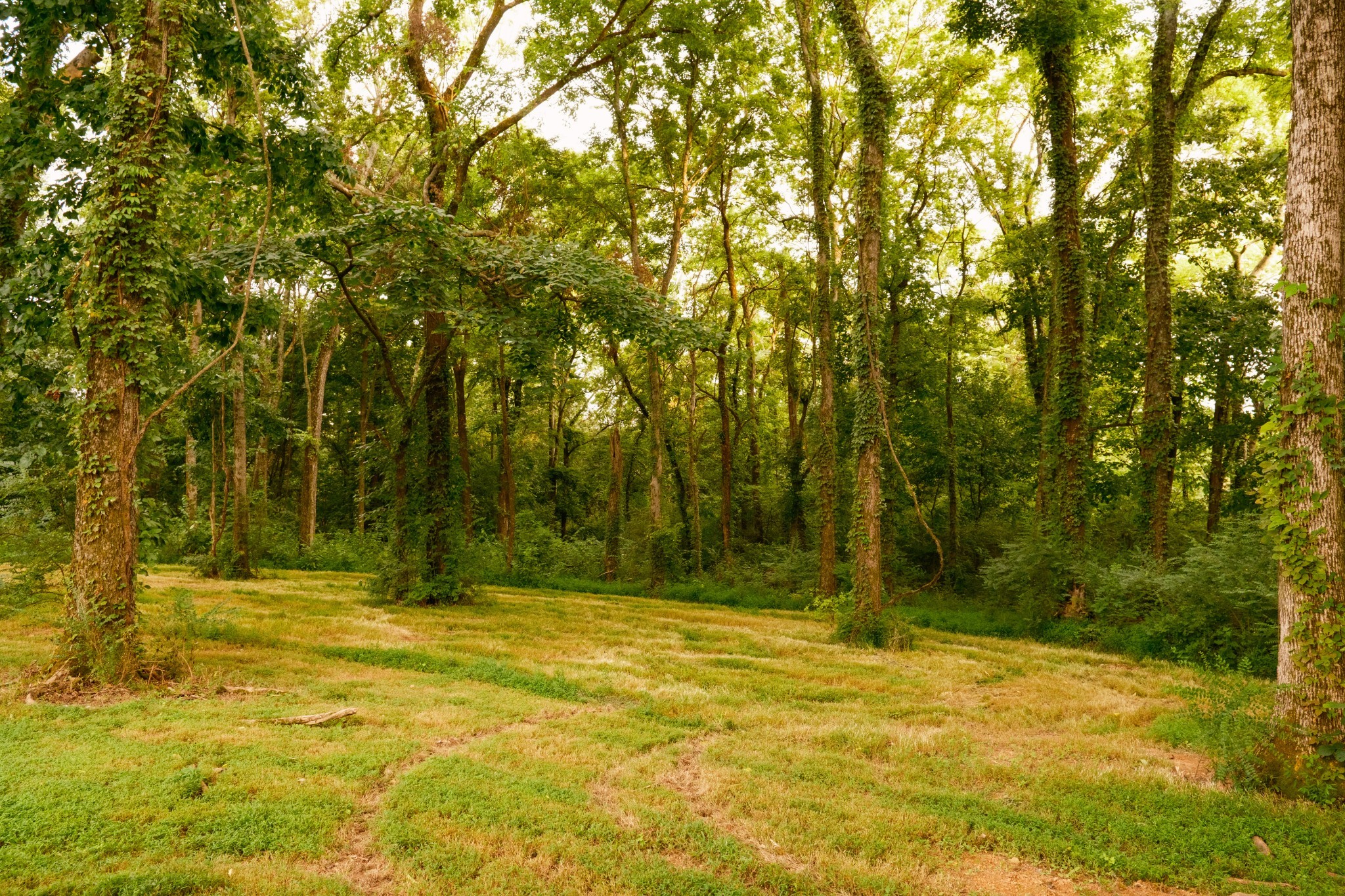 1489 Old Tva Rd Property Photo 62