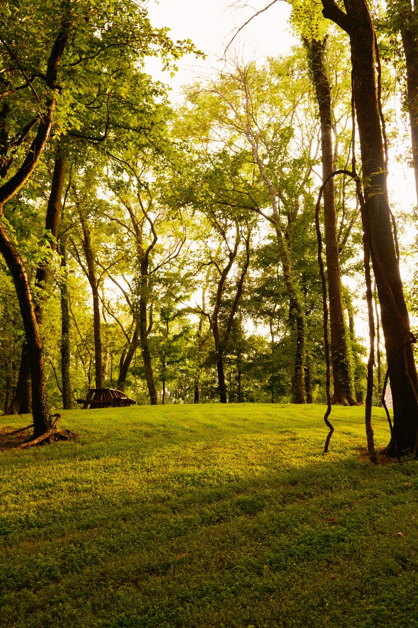 1489 Old Tva Rd Property Photo 63