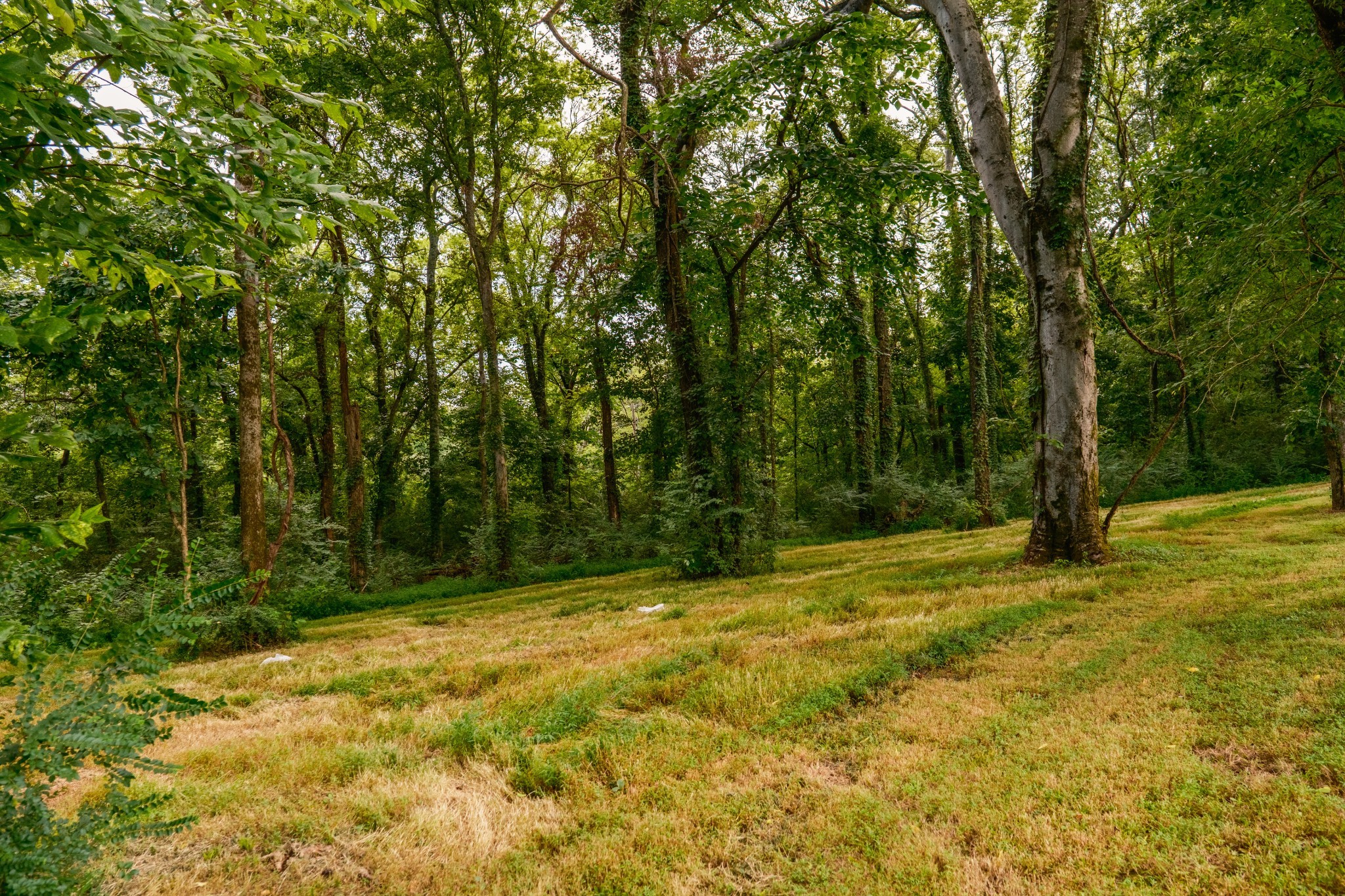 1489 Old Tva Rd Property Photo 64