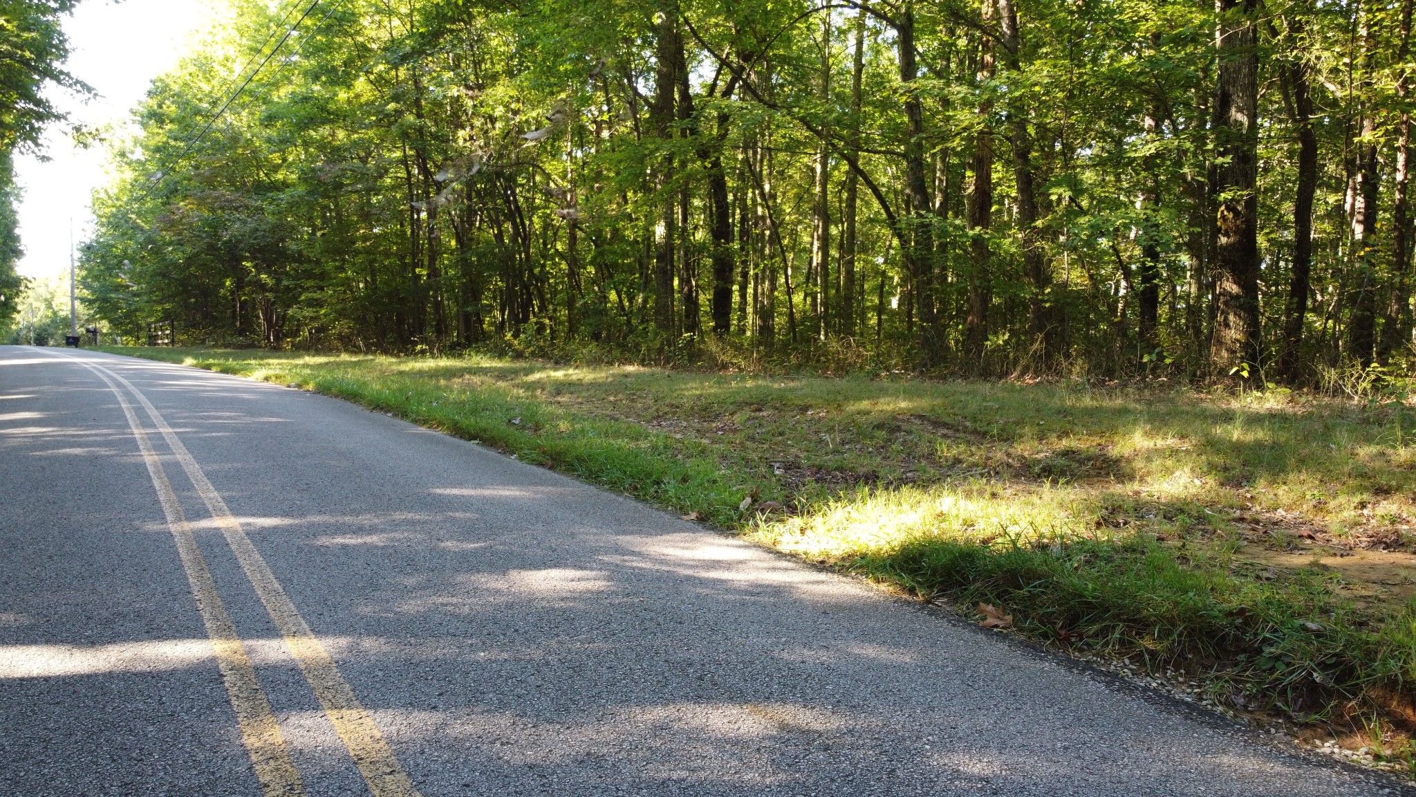 0 Tree Top Circle Property Photo 1