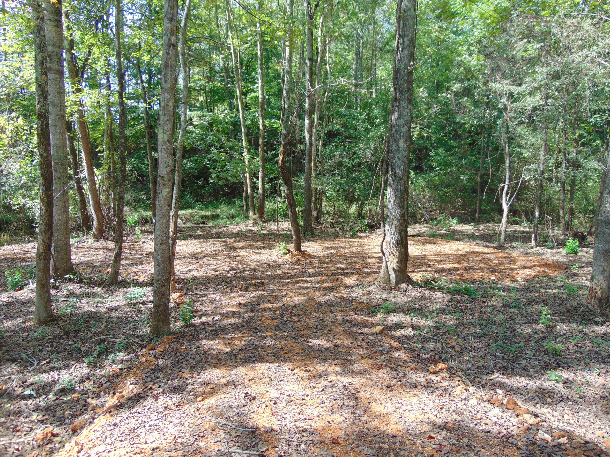 0 Alexander Springs Rd Property Photo 3