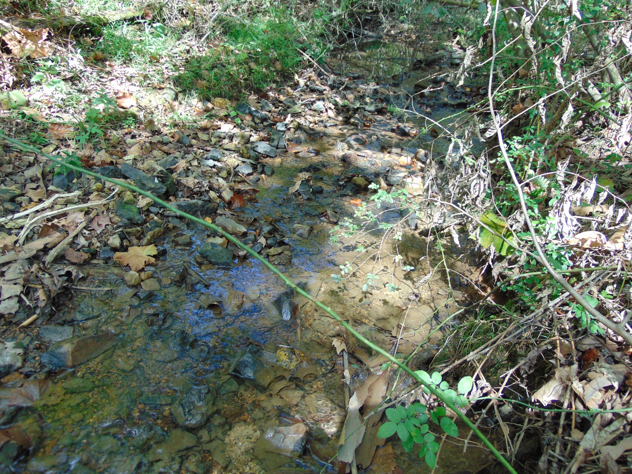 0 Alexander Springs Rd Property Photo 4