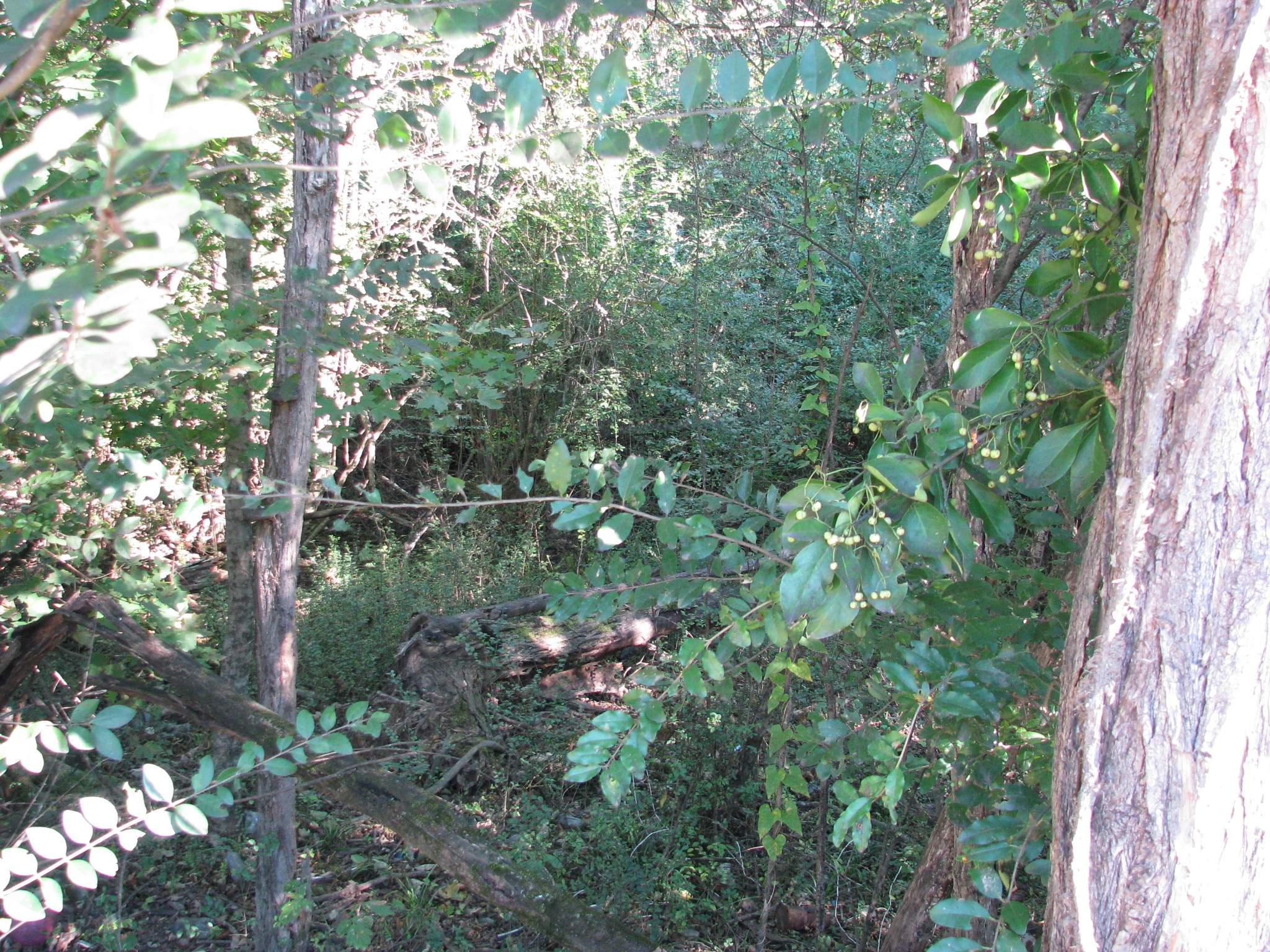 596 High St, E Property Photo 1