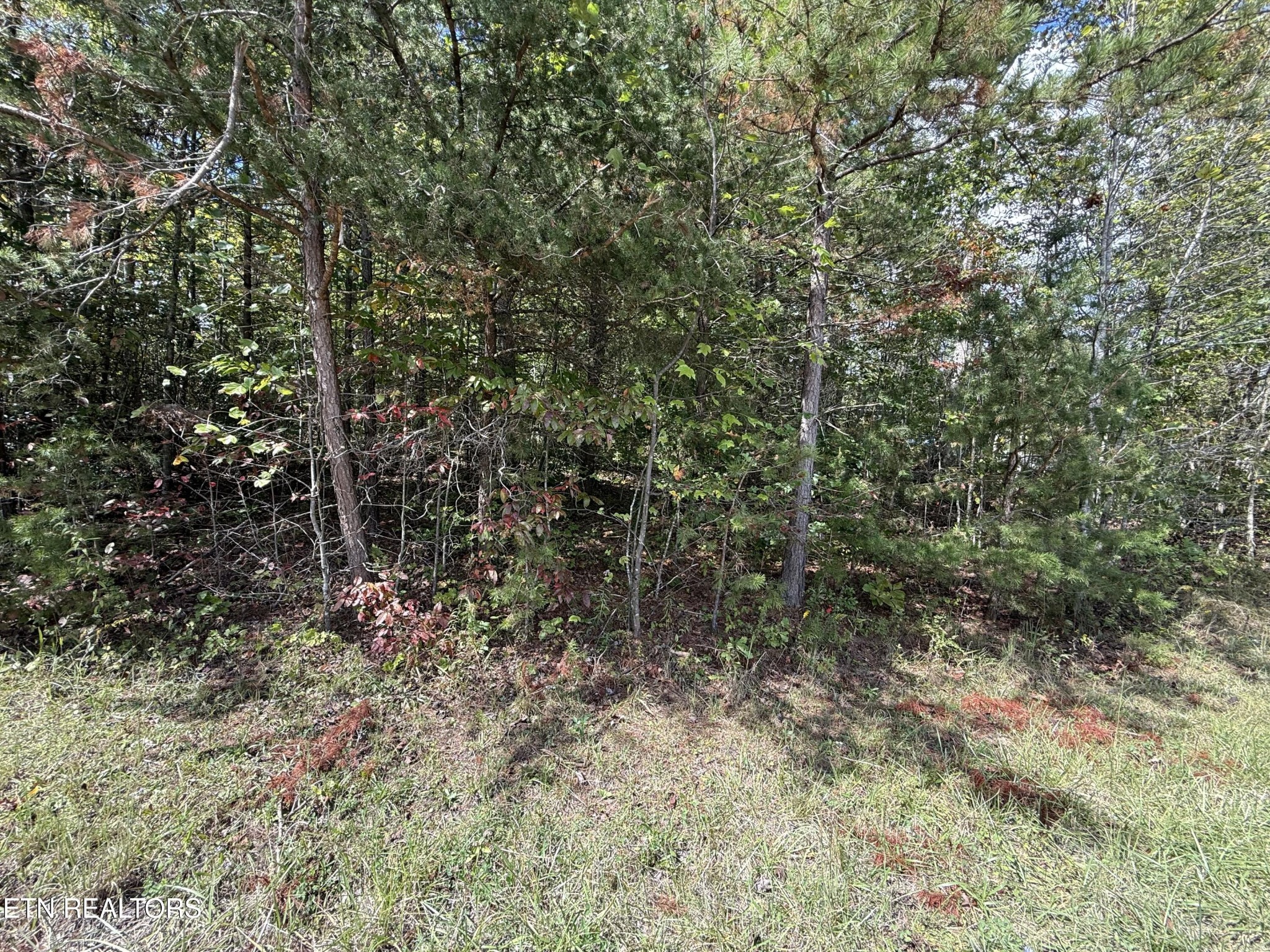 0 Northwood Place Property Photo 3