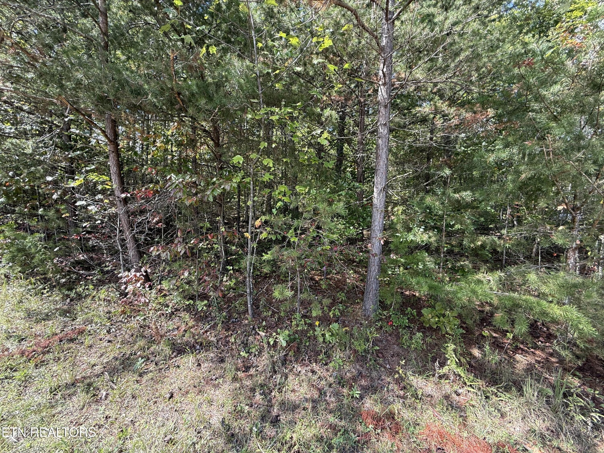 0 Northwood Place Property Photo 4