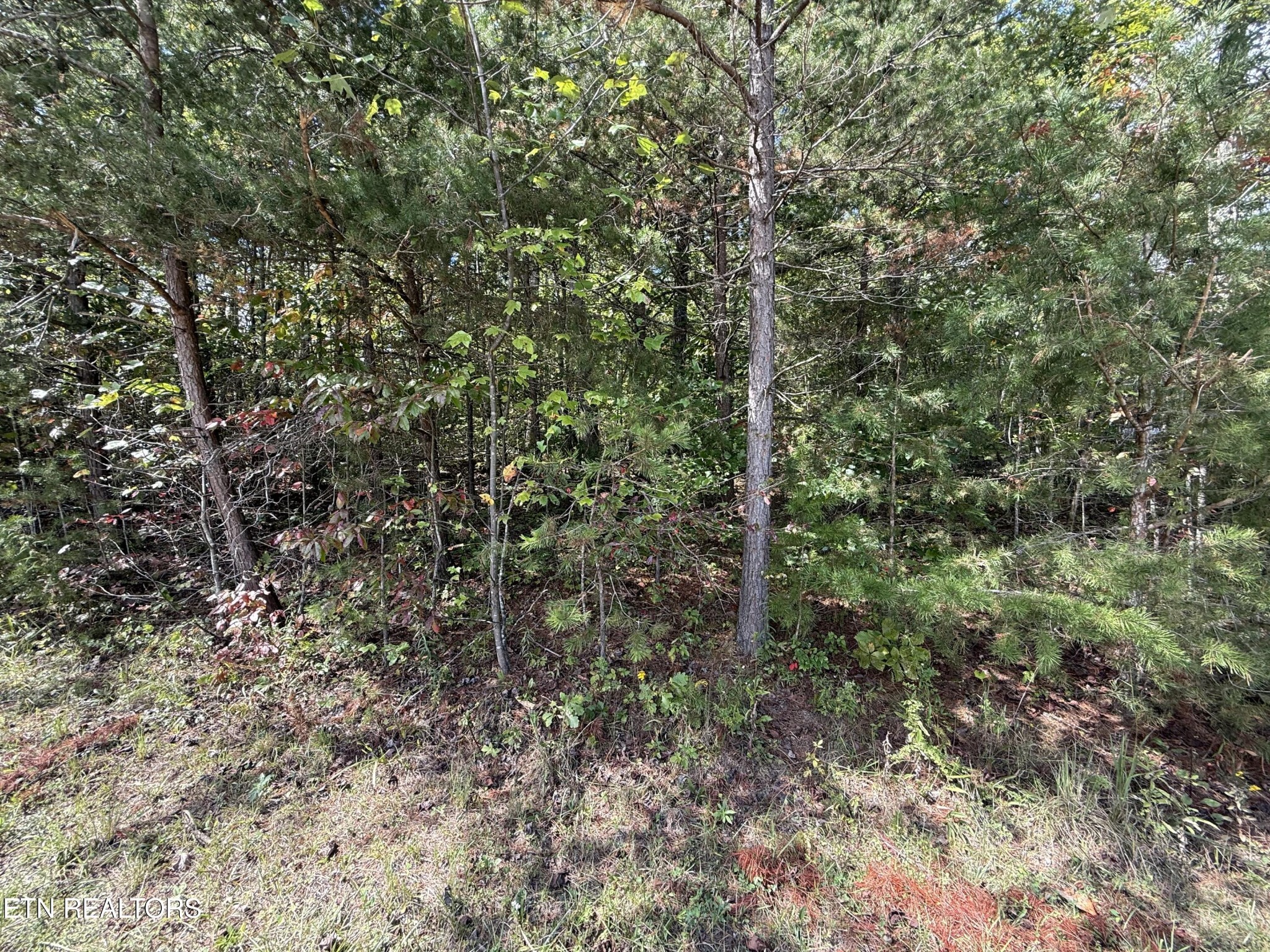 0 Northwood Place Property Photo 5