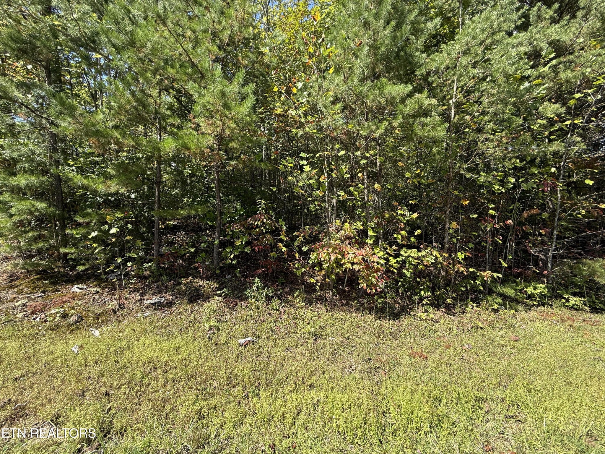 0 Northwood Place Property Photo 6
