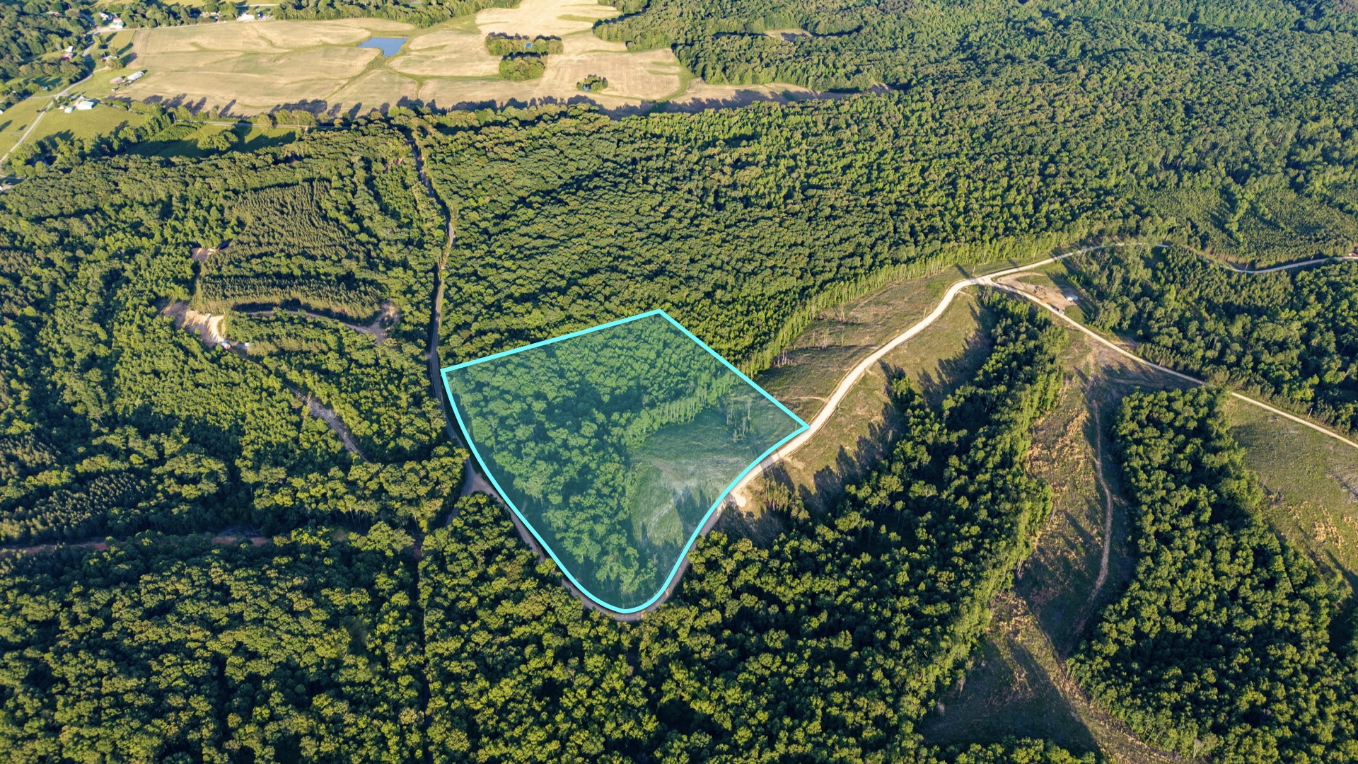 0 Cox Hollow Property Photo 1