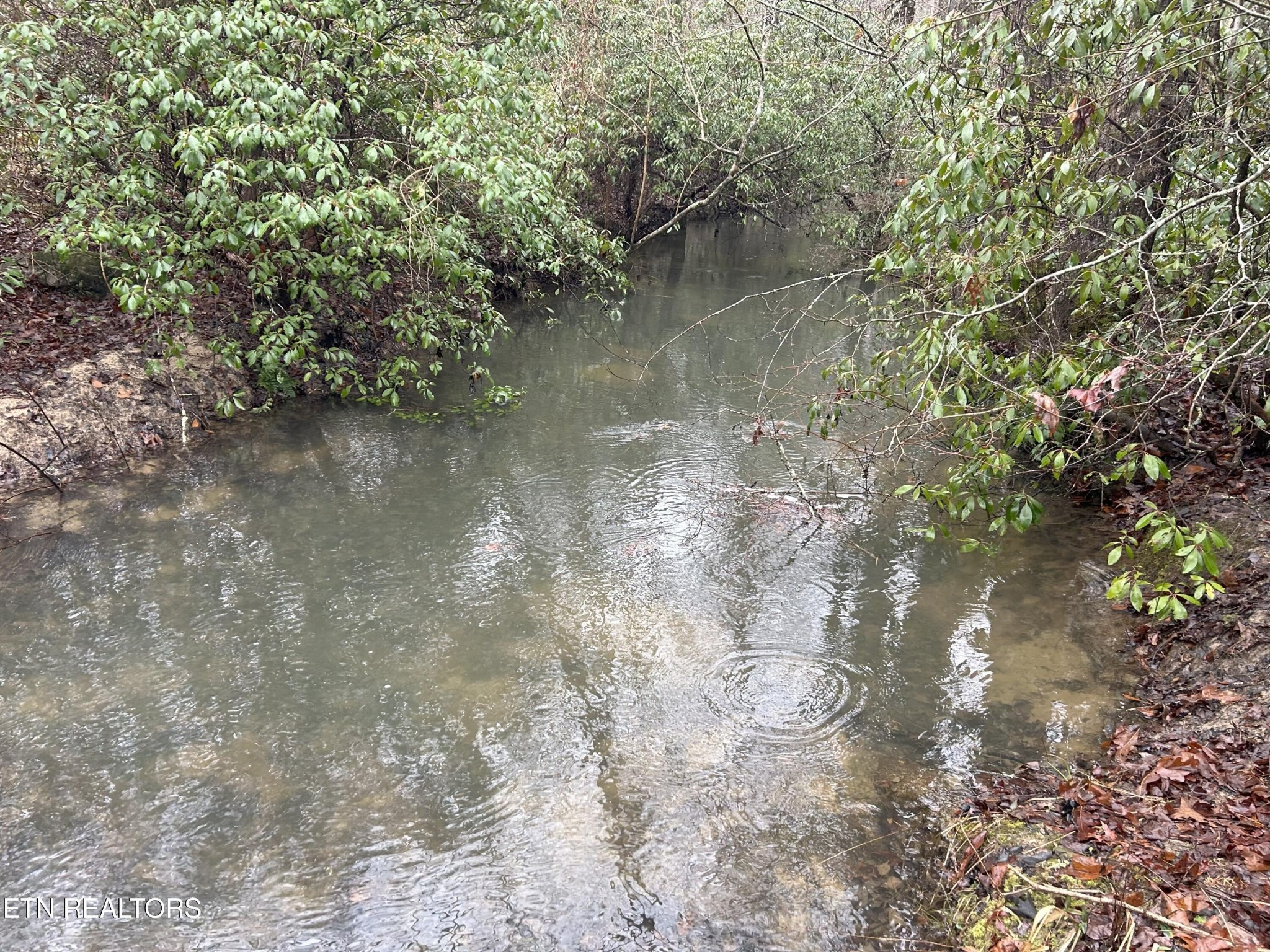 16501 Genesis Rd Property Photo 56