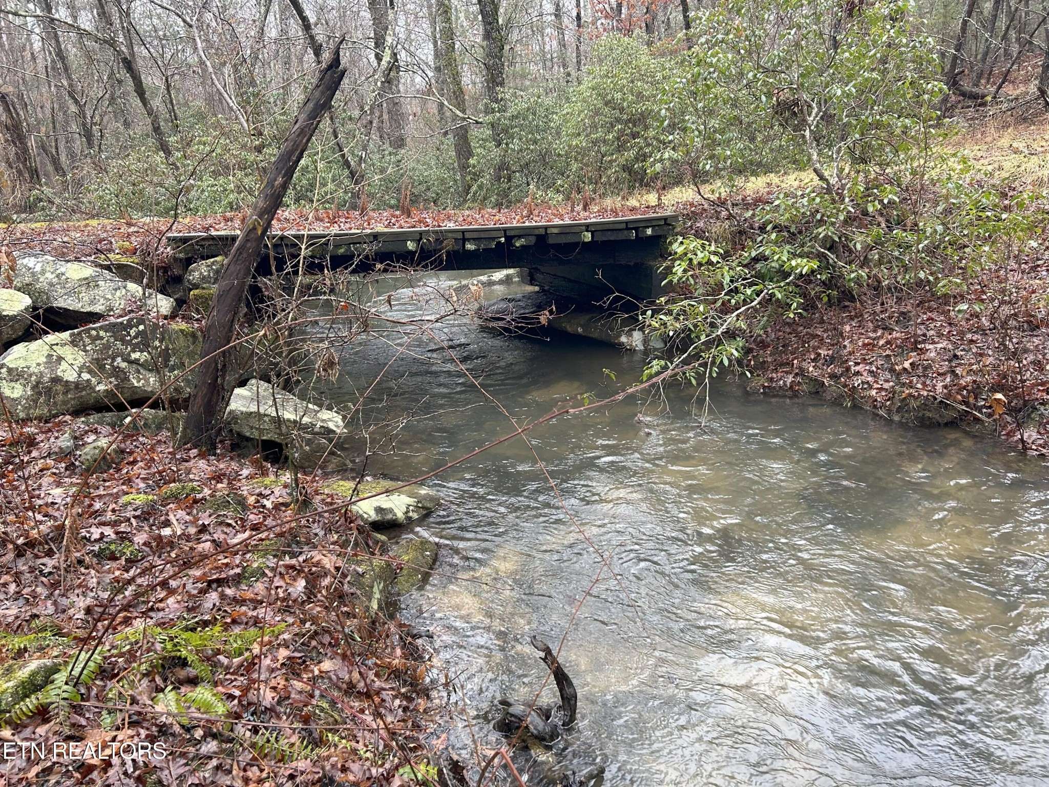 16501 Genesis Rd Property Photo 57