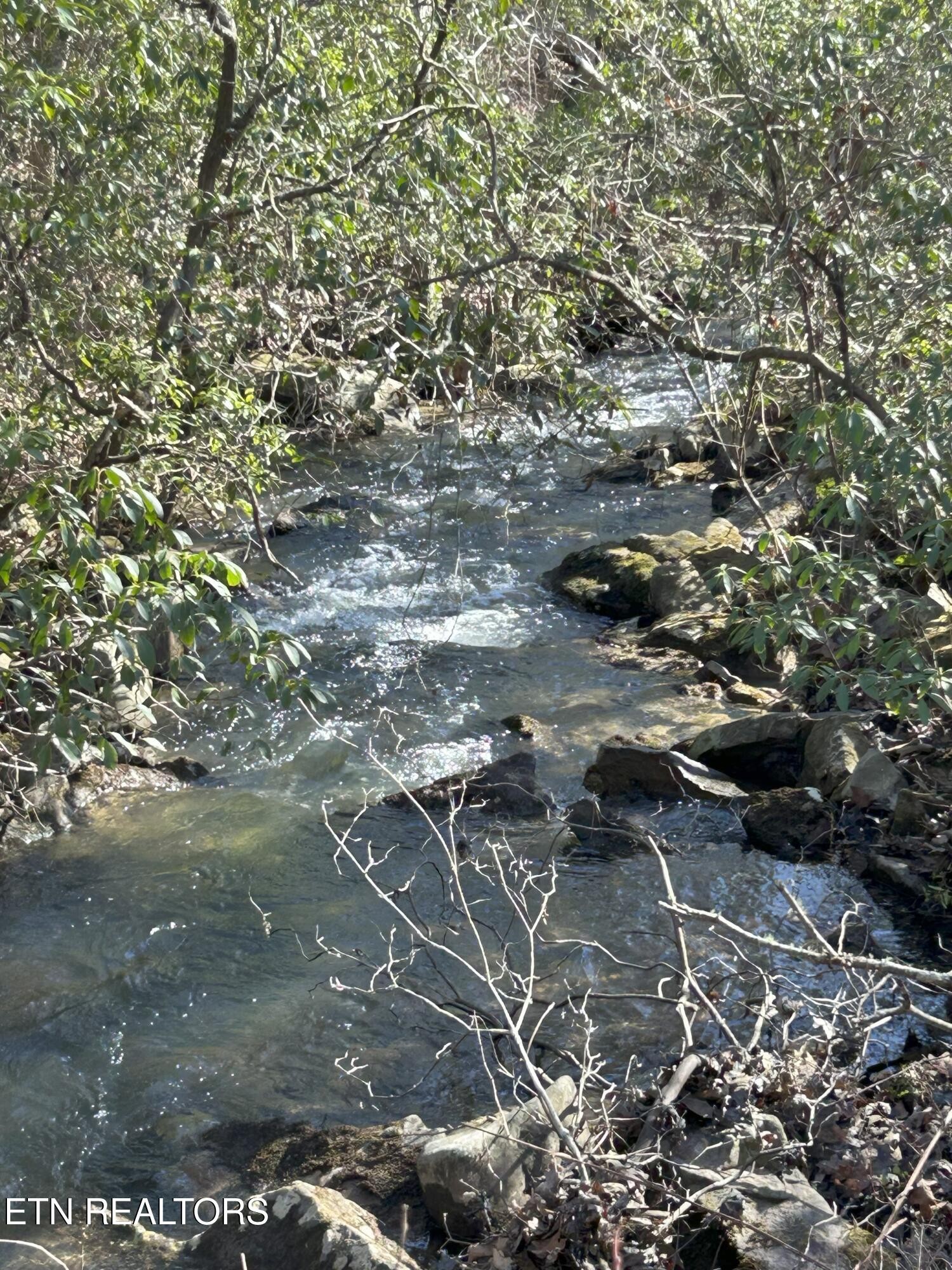 16501 Genesis Rd Property Photo 59