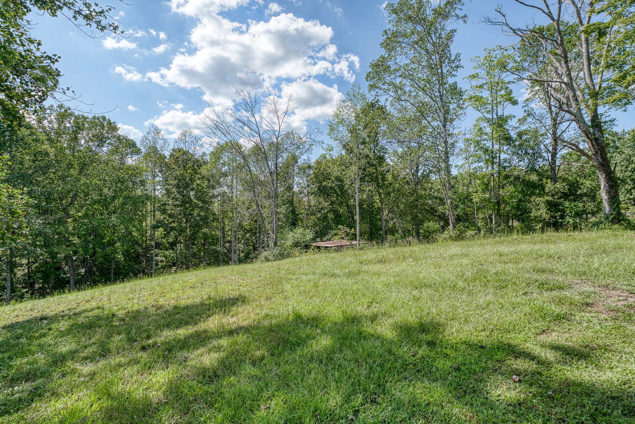7331 Ashburn Rd Property Photo 23