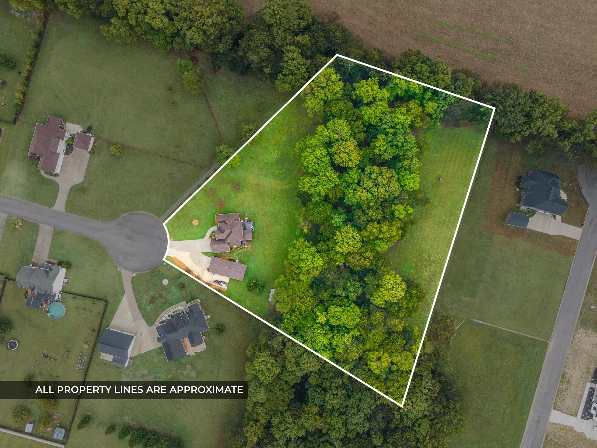 4569 Grovewood Court Property Photo 5