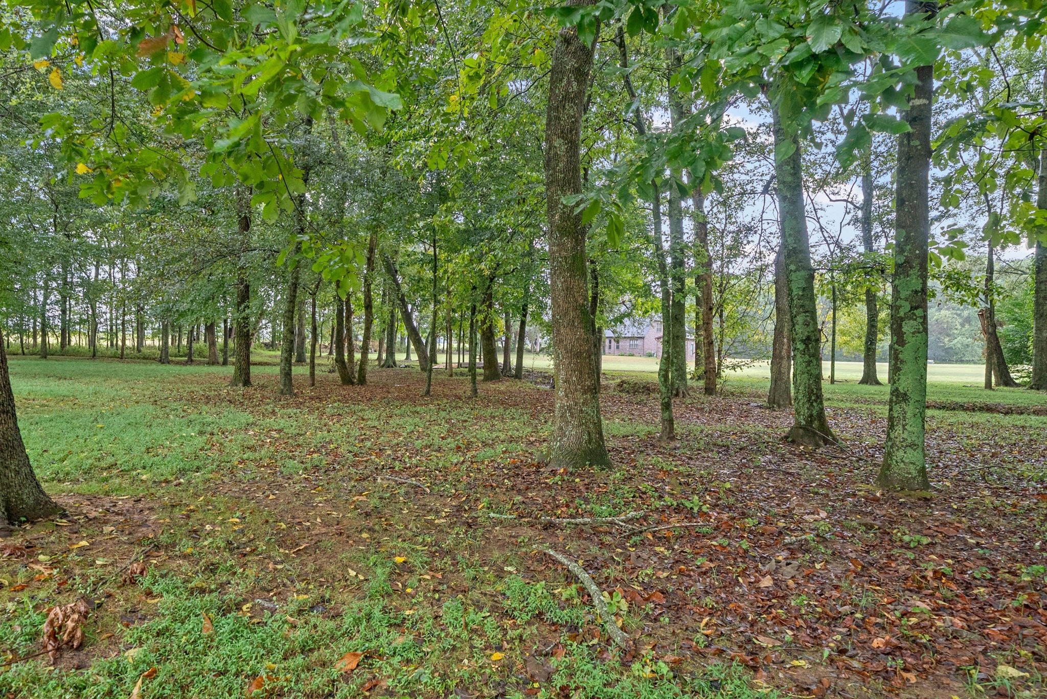 4569 Grovewood Court Property Photo 39