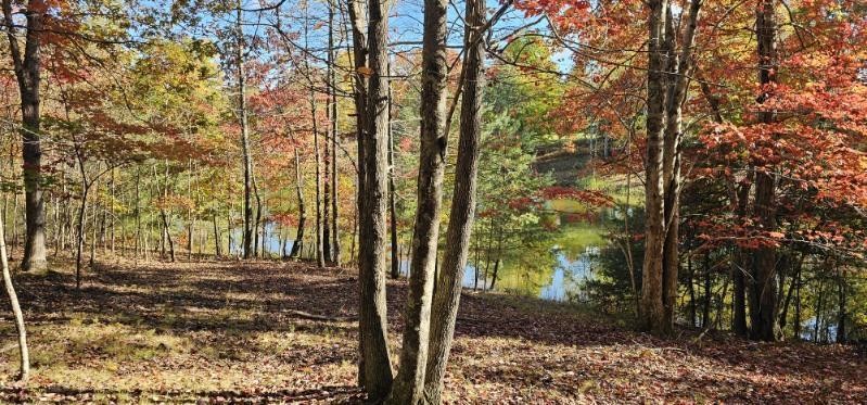 515 Wilderness Way Property Photo 1