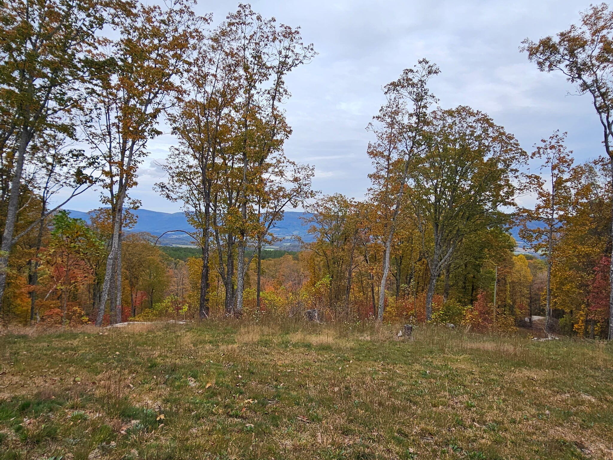 0 Overview Road Property Photo 1