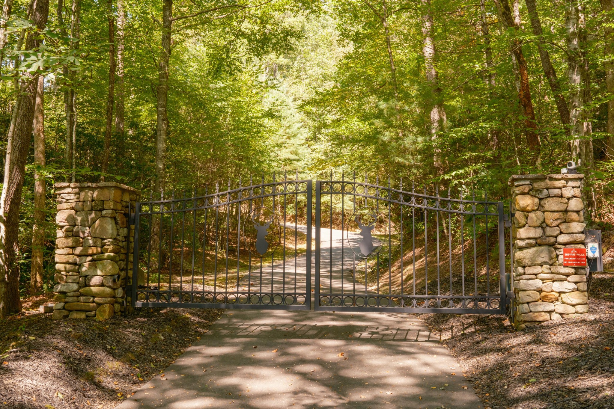 1500 Park Vista Trail Property Photo 43