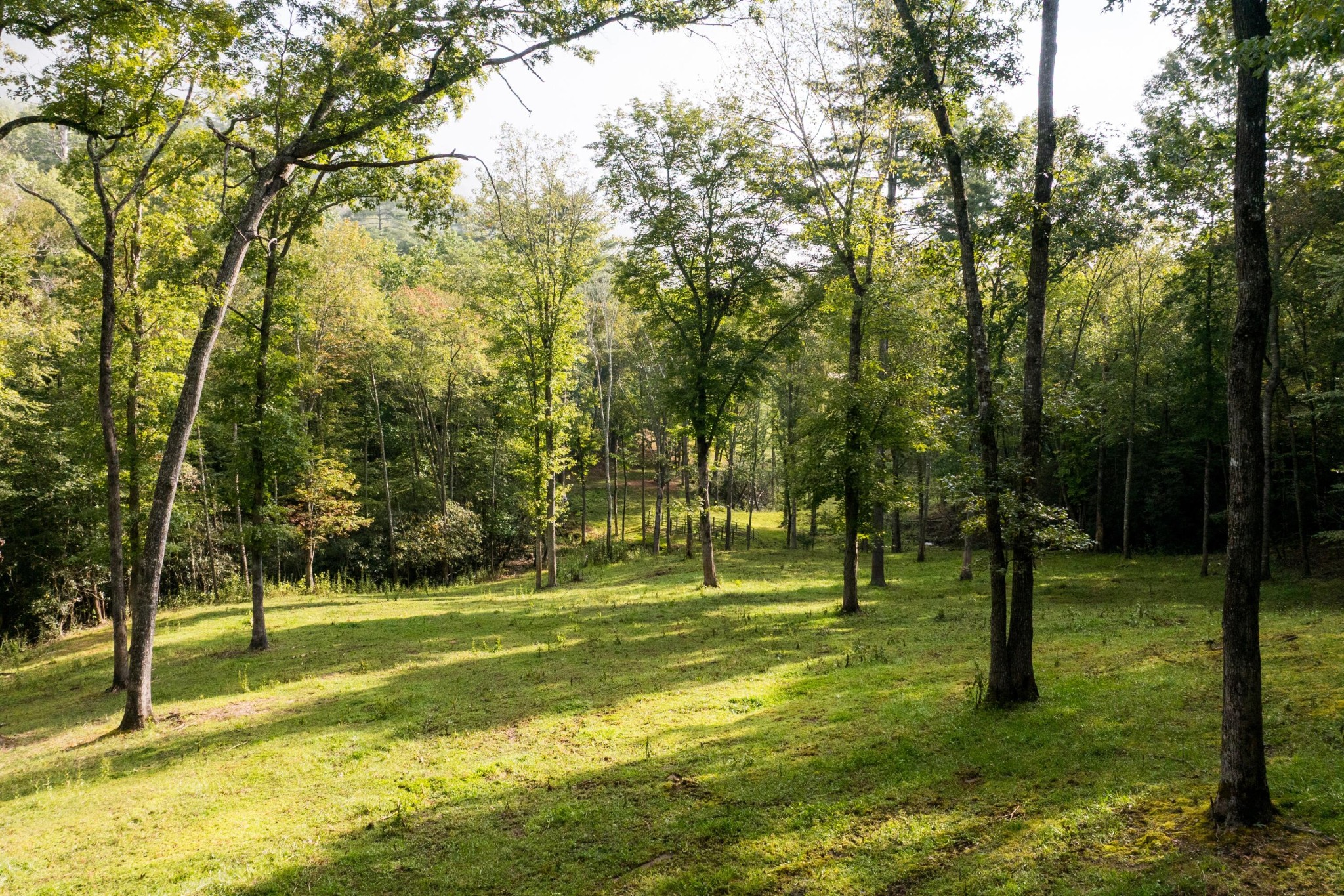 1500 Park Vista Trail Property Photo 60
