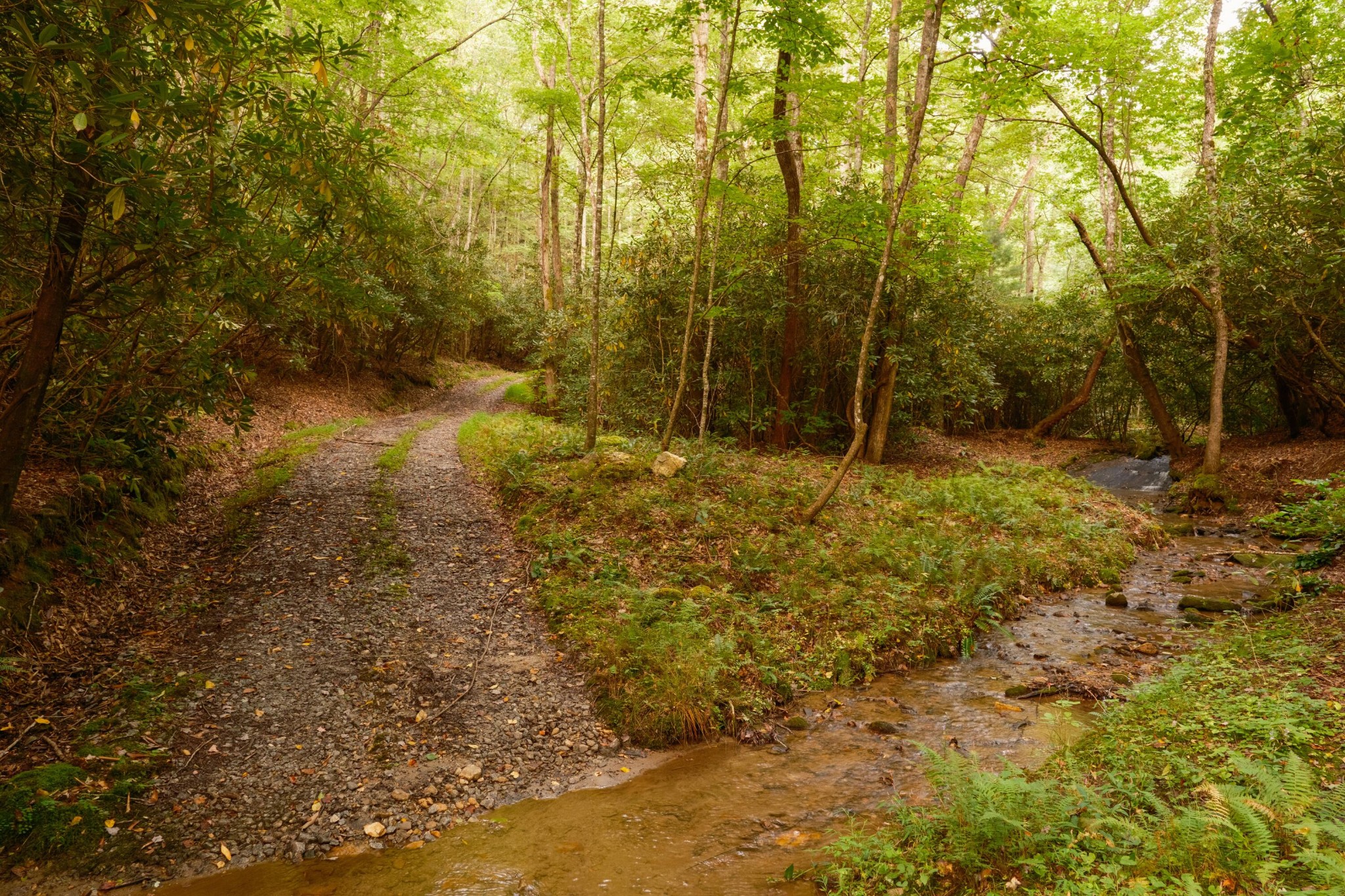 1500 Park Vista Trail Property Photo 91