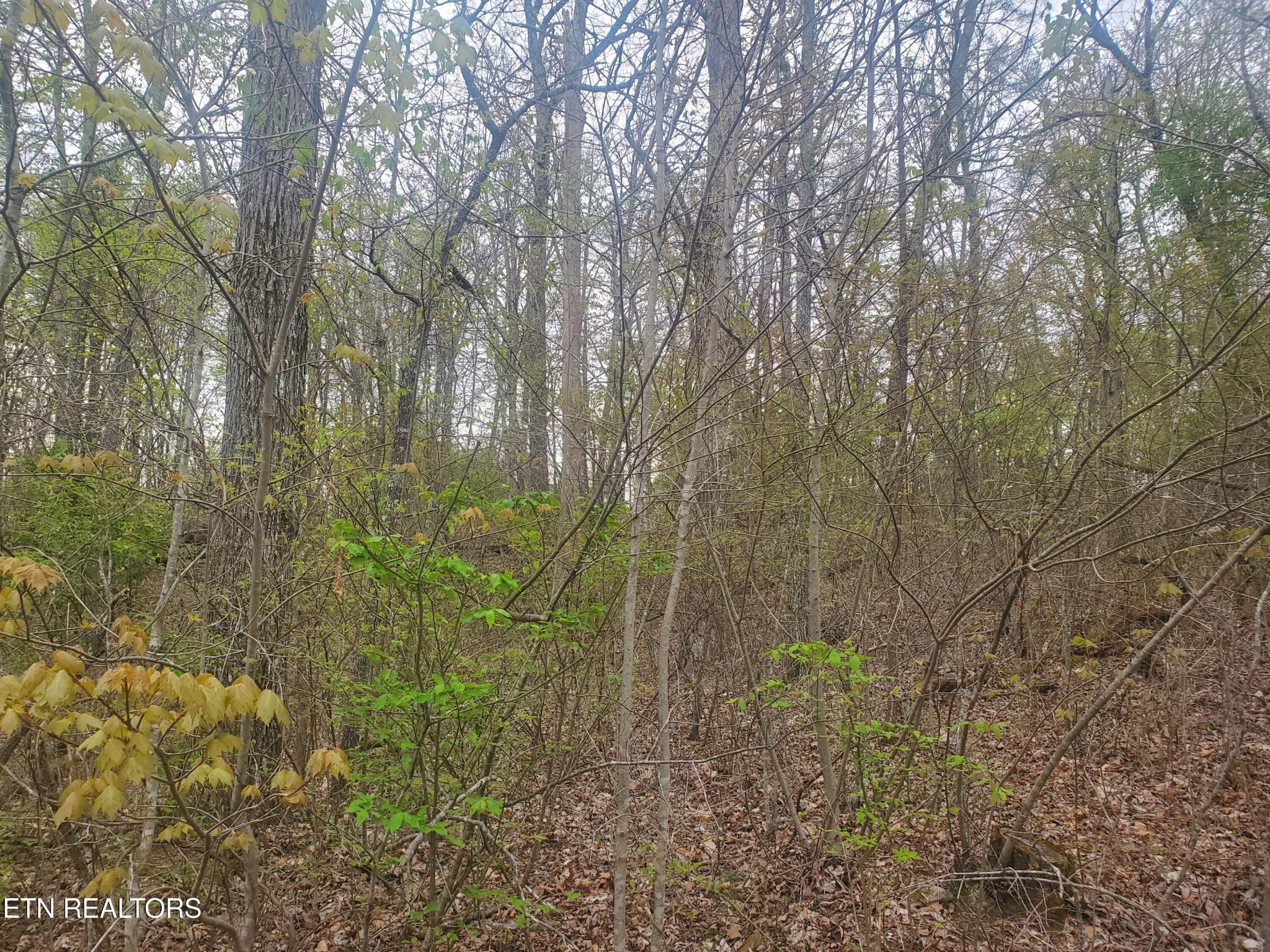 8646 Cherokee Tr Property Photo 1