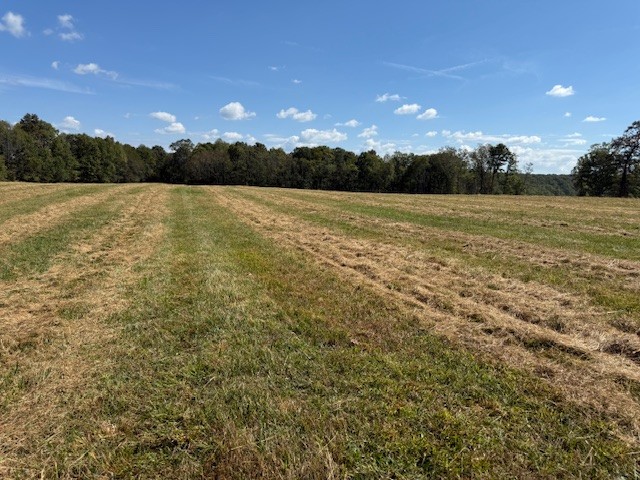 555 Smith Rd Property Photo 4