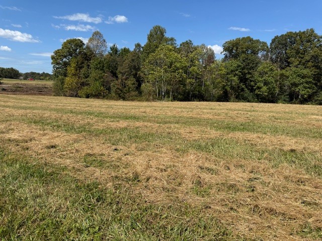 555 Smith Rd Property Photo 6