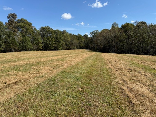 555 Smith Rd Property Photo 12